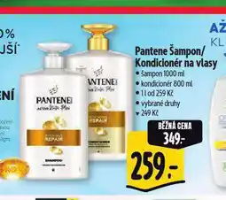 Albert Pantene kondicionér nabídka