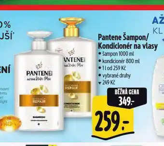 Albert Pantene kondicionér nabídka