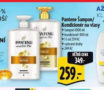 Albert Pantene šampon na vlasy nabídka