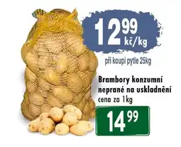 Qanto Brambory konzumní neprané na uskladnění nabídka