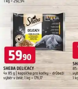 Terno Sheba delicacy kapsičky pro kočky nabídka