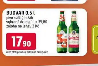 Terno Pivo budvar nabídka