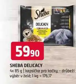 Terno Sheba delicacy 4x 85 g kapsička pro kočky drůbeži výběr v želė nabídka