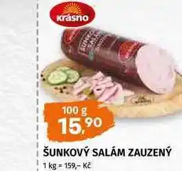 Terno Šunkový salám zauzený 100g nabídka