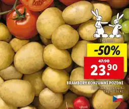 Lidl Brambory konzumní pozdní nabídka