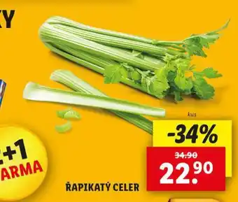 Lidl Řapíkatý celer nabídka