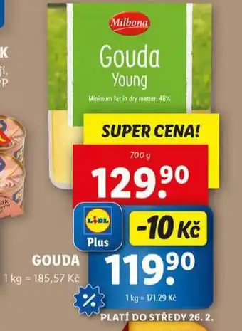 Lidl Gouda nabídka