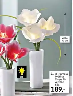 Velký Košík 1. LED umělá květina Magnolie ve váze, bílá nabídka