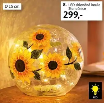 Velký Košík 8. LED skleněná koule Slunečnice nabídka