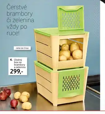 Velký Košík 4. Úložný box na brambory a zeleninu nabídka