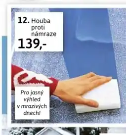 Velký Košík 12. Houba proti námraze nabídka