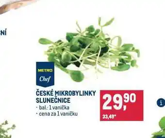 Makro České mikrobylinky nabídka