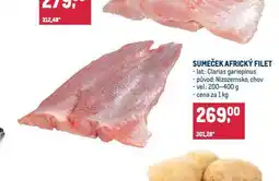 Makro Sumeček africký nabídka