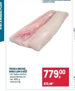 Makro Treska obecná nabídka