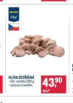 Makro Hlíva ústřičná nabídka