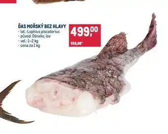 Makro Ďas mořský nabídka