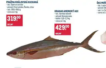 Makro Kranas americký nabídka