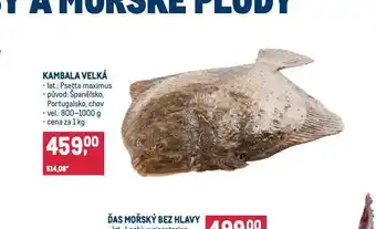 Makro Kambala velká nabídka