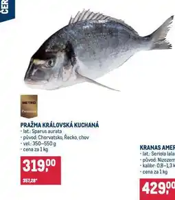 Makro Pražma královská kuchaná nabídka