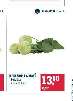 Makro Kedlubna s natí nabídka