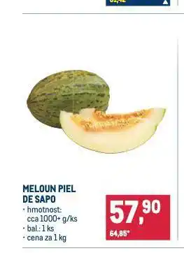 Makro Meloun piel de sapo nabídka