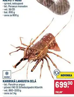 Makro Karibská langusta celá nabídka