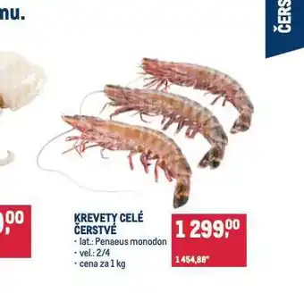 Makro Krevety celé čerstvé nabídka