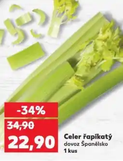 Celer řapíkatý