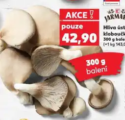 Kaufland Hlíva ústřičná kloboučky XXL nabídka