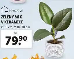 Lidl ZELENÝ MIX V KERAMICE nabídka