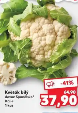 Kaufland Květák bílý nabídka