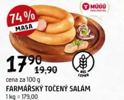 Terno Farmářský točený salám nabídka