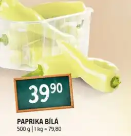 Terno Paprika bílá nabídka