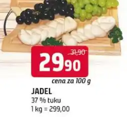 Terno Jadel nabídka