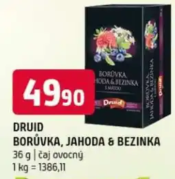 Terno DRUID Borůvka, jahoda & bezinka nabídka