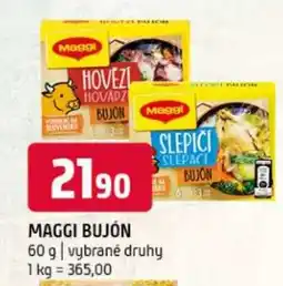 Terno MAGGI Bujon nabídka