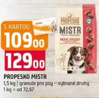 Terno Propesko mistr nabídka