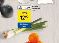 Tesco Cibule svazková nabídka