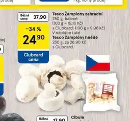 Tesco Žampiony zahradní nabídka