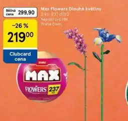 Tesco Max flowers dlouhé květiny nabídka