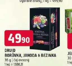 Terno Druid ovocný čaj nabídka