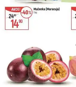 Globus Mučenka nabídka