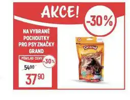 Globus Grand pochoutky pro psy nabídka