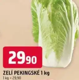 Trefa Zelí pekingské nabídka