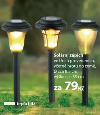 NKD Solární zápich nabídka