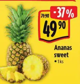 Albert Ananas sweet nabídka