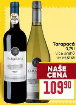 Billa Tarapacá 0,75l nabídka