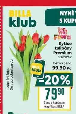 Billa Kytice tulipány Premium 1 svazek nabídka