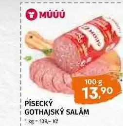 Terno Písecký Gothajský salám 100g nabídka