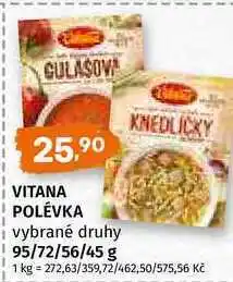 Terno Vitana polévka vybrané druhy 95/72/56/45 g nabídka